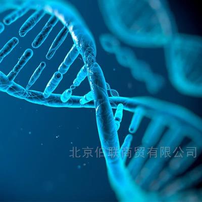 二代测序文库构建（NGS建库）